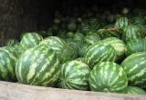 В Тюменскую область, ХМАО и ЯНАО хотели ввезти овощи, о которых не предупреждали