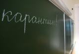 В Надыме закрыли школу из-за пневмонии 