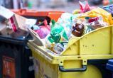 В России появится единая компания-оператор по обращению с мусором