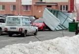 Порыв ветра сорвал «ракушку» с мусорных баков на автомобиль (ФОТО)
