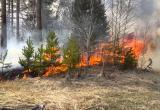 На Ямале объявлен пожароопасный сезон 