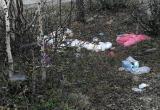 Кто оставил мусор: жители газовой столицы пытаются вычислить не убравших за собой отдыхающих (ФОТО) 
