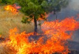 На Ямал идет жара: жителей предупреждают об опасности