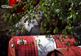 Житель Нового Уренгоя нашел в лесу бочки, полные горючего (ФОТО)