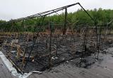В Хабаровском крае сгорел палаточный лагерь: погибли трое детей