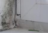 Промерзшие стены и ледяной пол: новоуренгойка подала в суд на застройщика из-за отвратительного состояния квартиры 