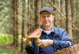 Мужчина пятидесяти лет с ведром белых грибов: аналитики описали типичного грибника (ОПРОС)