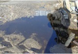 На дороге между Коротчаево и Тазовским найдена залитая нефтепродуктами земля (ФОТО)