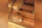 В одном из магазинов Салехарда между булками хлеба бегает мышь (ВИДЕО)