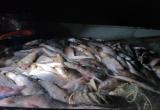 За незаконную рыбалку на Ямале завели уголовные дела (ФОТО)