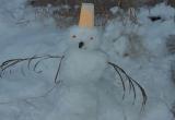 Первый снег на Ямале выпал, настало время расчехлять морковки и ведра (ФОТО, ОПРОС)