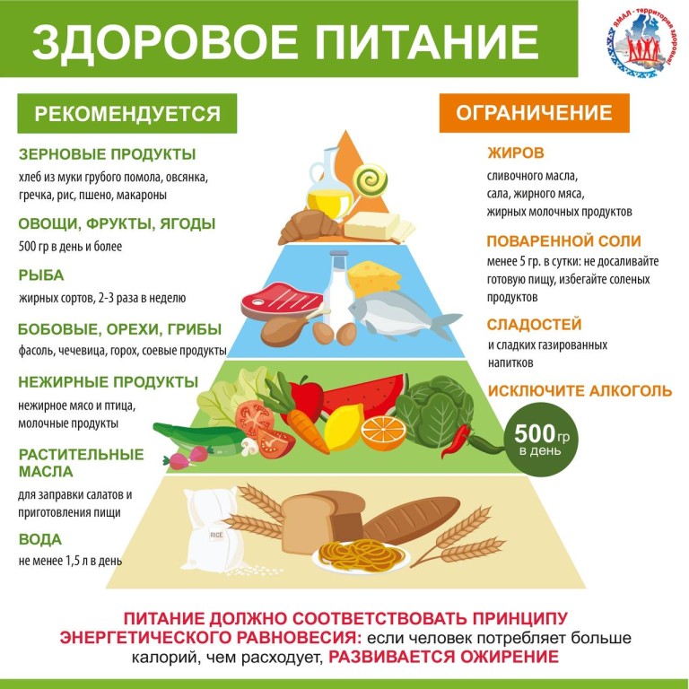 Грибы составляют питательную вкусную и здоровую пищу если они употребляются не в излишестве схема