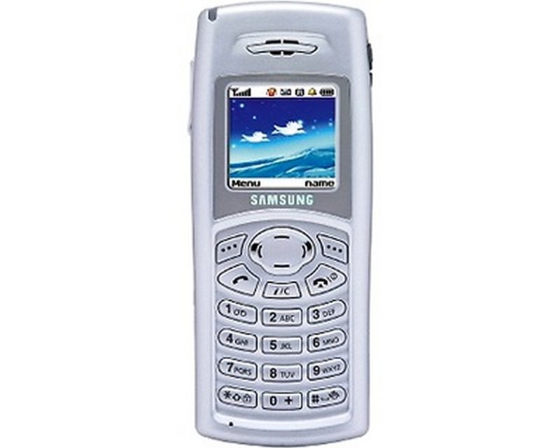 S100 телефон. Samsung c100. Самсунг SGH c100. Телефон Samsung SGH-c100. C 100 Samsung c100.