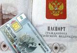 Правительство планирует сменить бумажные паспорта на электронные