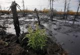 «Дочка» «Газпрома» поплатилась за разлив нефти