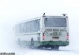  В Новом Уренгое временно изменят схему движения автобусов (СХЕМА)