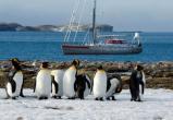Ямальцев призывают отметить 200-летие открытия Антарктиды
