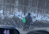 Скандал в Ноябрьске: фото с женщиной в инвалидной коляске на проезжей части наделало шума (ФОТО)