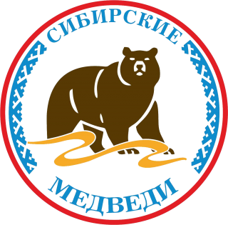 МБОУ ДО СДЮСШОР Сибирские Медведи