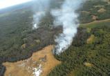 На Ямале за последние сутки выросло число природных пожаров