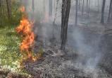 Пожары в ямальских лесах снова набрали силу
