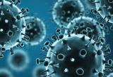 Четверть миллиона жителей Ямала сделают прививки от гриппа