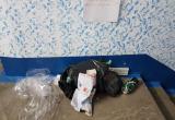 Не хватает сил донести до мусорки: жительница Нового Уренгоя жалуется на «соседей свиней» (ФОТО)