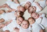 «Сколько детей родилось в…»: статистика рождаемости детей на Ямале (ВИДЕО)