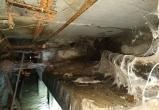 «Инженерные сети плачут по капитальному ремонту»: житель Надыма жалуется на состояние подвала в доме (ФОТО)