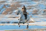 По трассе Надым — Салехард проедет только Ким Чен Ын на белом коне (ФОТО) 