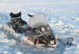 В Тазовском районе утонули водитель снегохода и его собака 