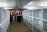 Центр помощи бездомным животным в Новом Уренгое переехал в новые вольеры (ФОТО)