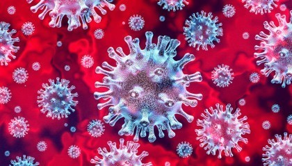 Что такое коронавирусы?