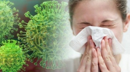 Каковы симптомы заболевания, вызванного новым коронавирусом?