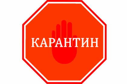 Карантин. Что это значит?