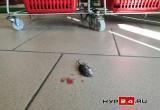 В Новом Уренгое в «Пятерочке» мышь бросилась под колеса тележки и погибла
