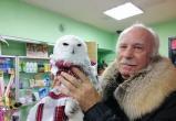 В Ноябрьске спасли полярную сову по кличке Умка (ФОТО)