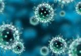 За сутки на Ямале коронавирус выявили у 21 человека 