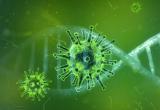 Роспотребнадзор: после прививки от COVID-19 можно заболеть коронавирусом