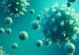 Третий пик эпидемии коронавируса в России намечается на середину июля