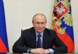 Путин поднял рейтинг «Спутника V» на 7% (ОПРОС)  