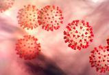 В США обнаружили суперантитело от коронавируса 