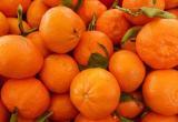 Турецкие фермеры травили россиян мандаринами с пестицидами 