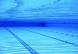В Новом Уренгое появятся несколько современных бассейнов (ФОТО)