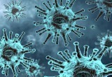 Роспотребнадзор назвал основные симптомы коронавируса при «омикроне»