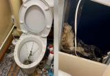 «Человек-паук уже не тот»: в туалет жительницы Лабытнанги с чердака провалился мужчина (ВИДЕО)
