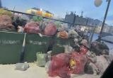 Жители нескольких микрорайонов Нового Уренгоя возмущаются, что у них не вывозят мусор (ФОТО)