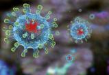 За сутки на Ямале умерли 2 заболевших коронавирусом при 110 новых заболевших 