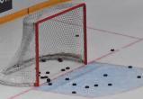 Молодежный чемпионат мира по хоккею досрочно завершен из-за коронавируса