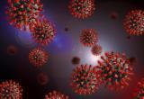 В Новом Уренгое официально выявлен «омикрон»-штамм коронавируса